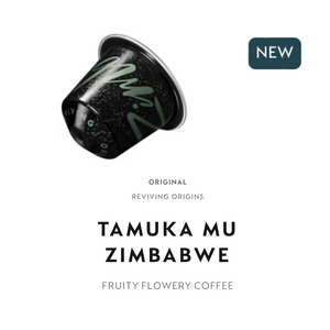 Tamuka Mu Zimbabwe | Intensity 5